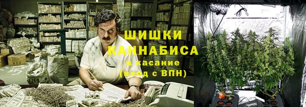 ECSTASY Белокуриха