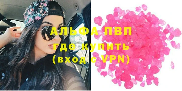 ECSTASY Белокуриха