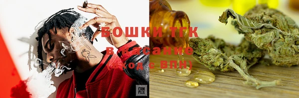 ECSTASY Белокуриха